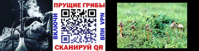 Галлюциногенные грибы мицелий  Нестеровская 